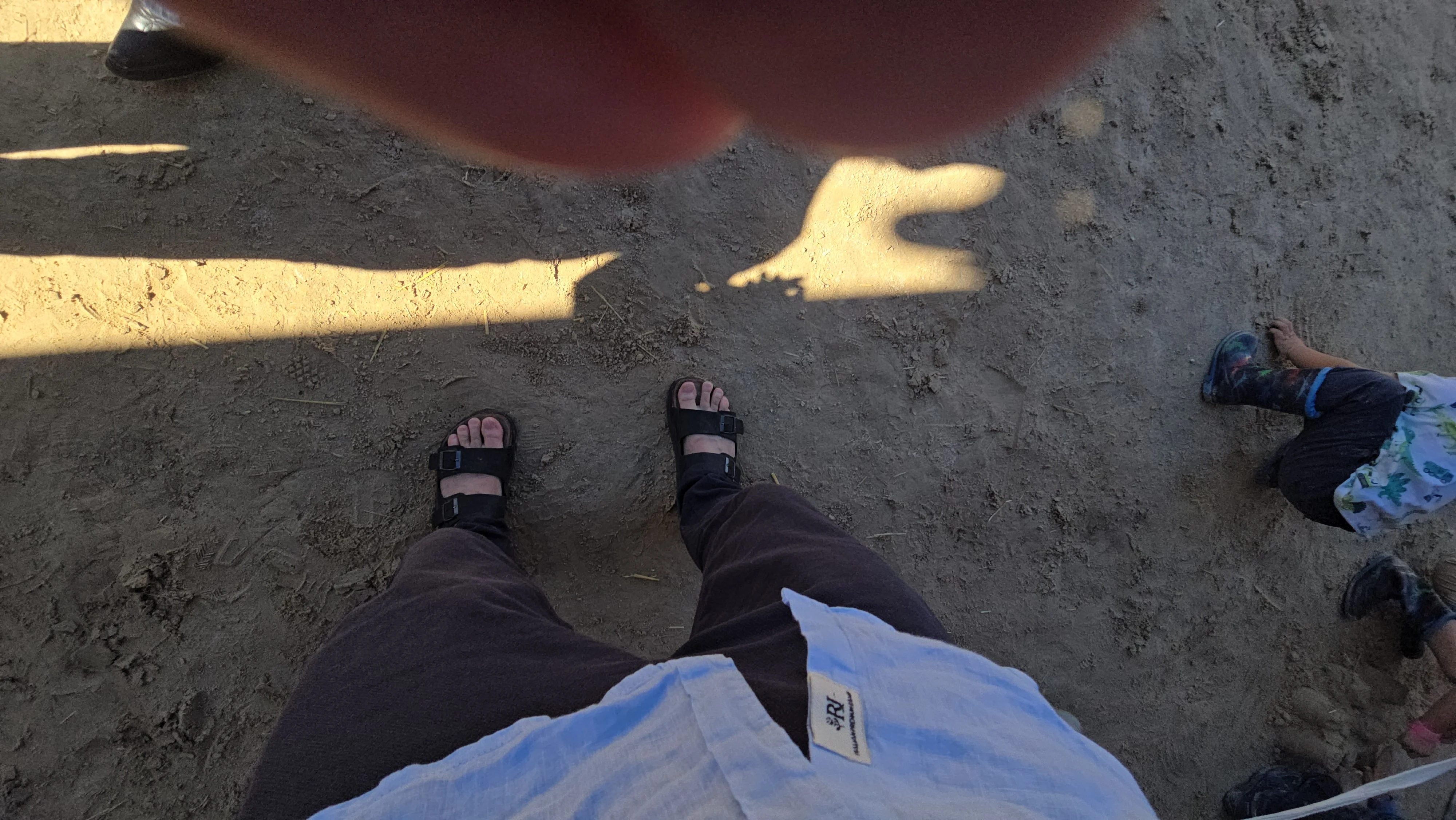  LES 25 ANS DU REFUGE DE DARWYN 31 AOUT 2025