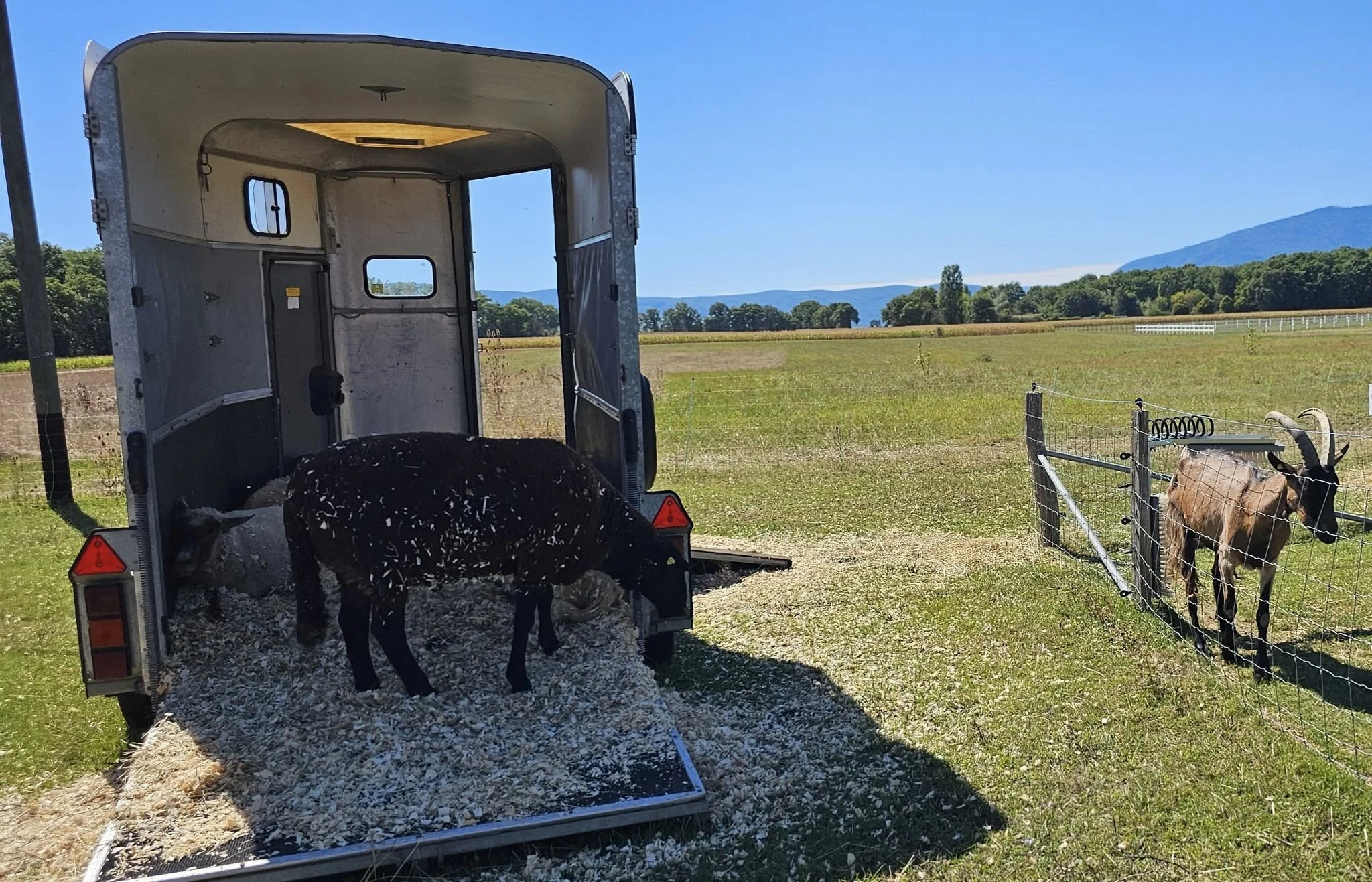  LES 25 ANS DU REFUGE DE DARWYN 31 AOUT 2025