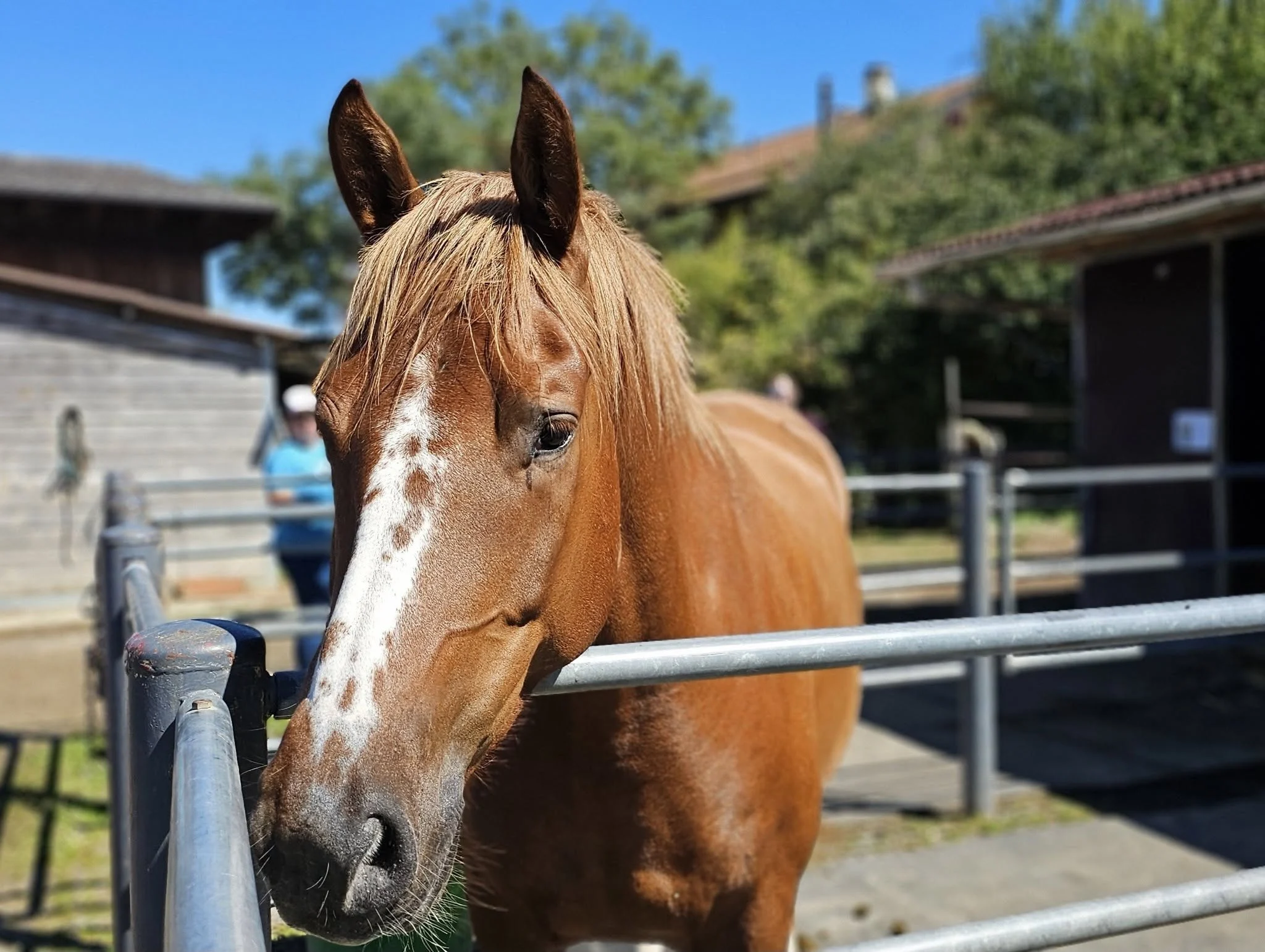  LES 25 ANS DU REFUGE DE DARWYN 31 AOUT 2025