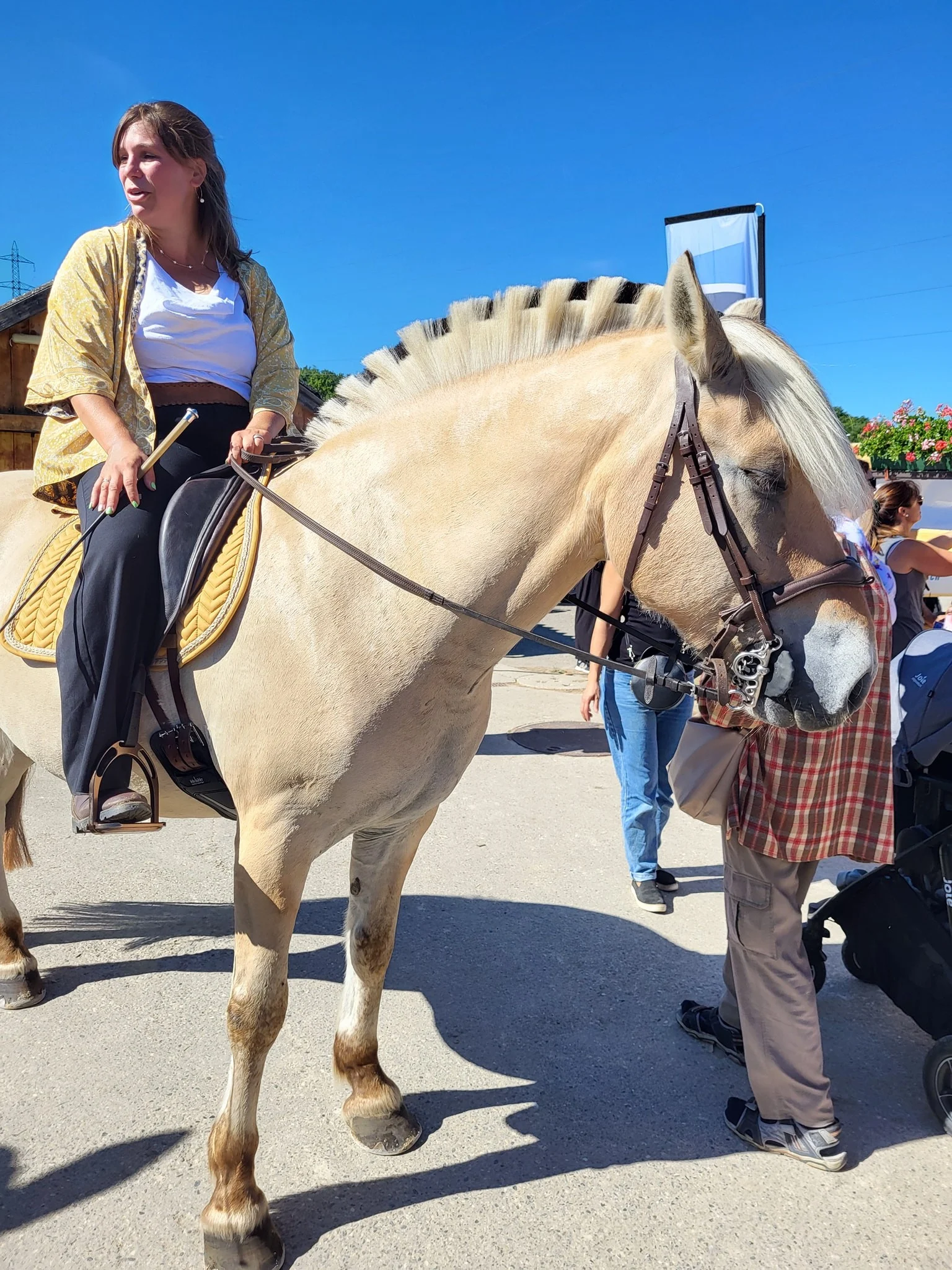  LES 25 ANS DU REFUGE DE DARWYN 31 AOUT 2025